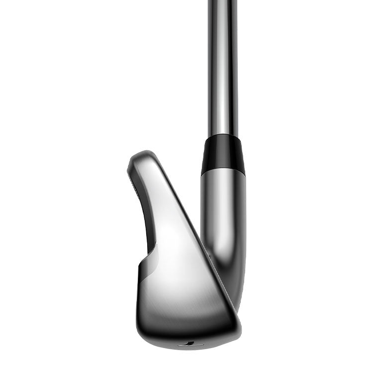 Cobra King irons - Steel