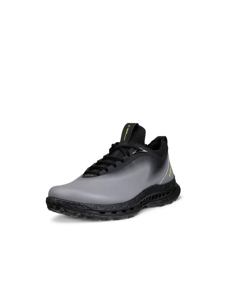 Ecco Golf Biom C5 - Grey / Black