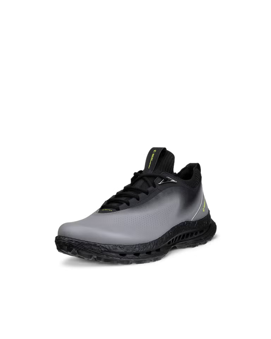 Ecco Golf Biom C5 - Grey / Black