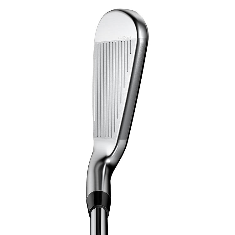 Cobra King irons - Steel